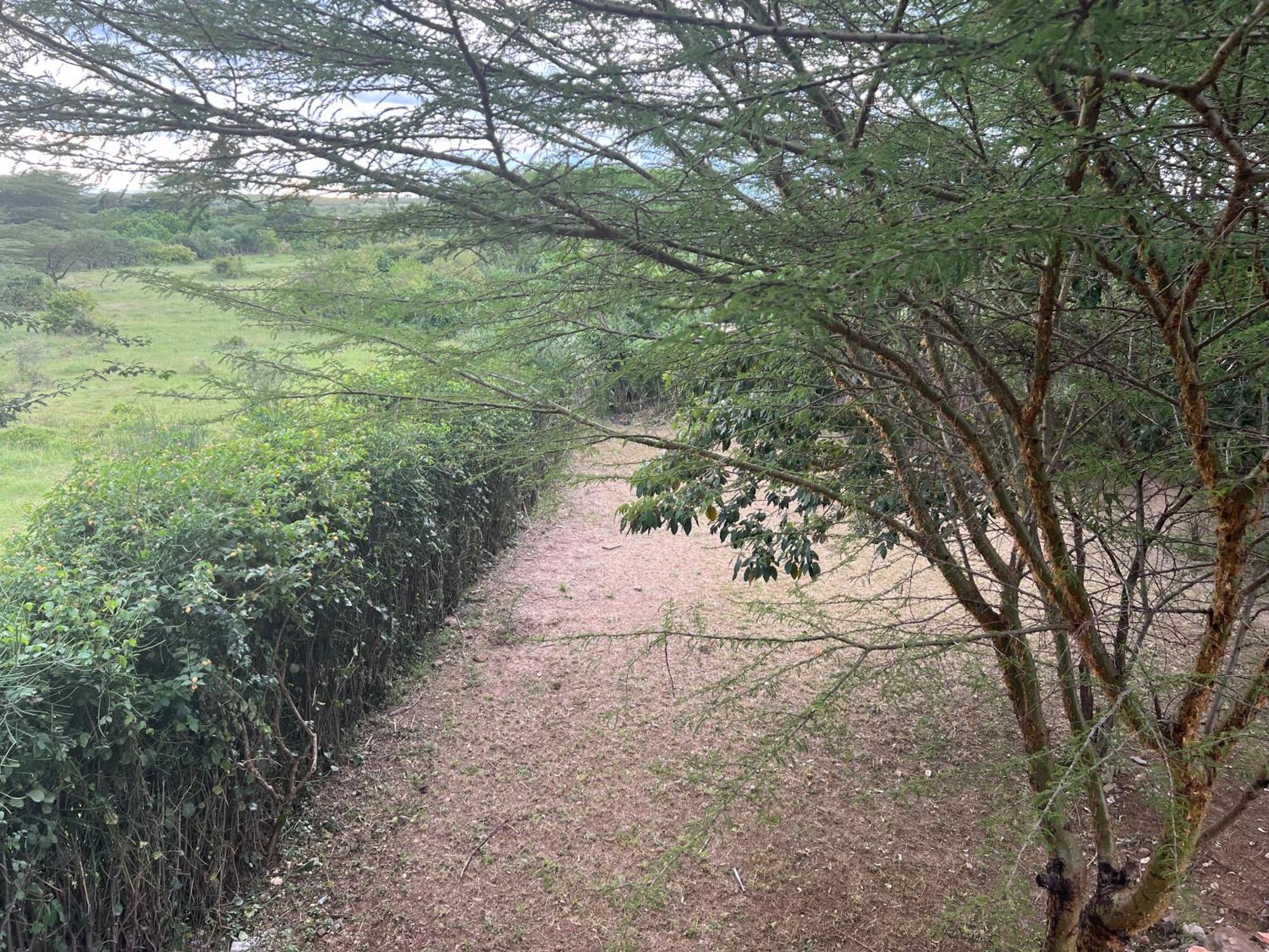 Villa Olaloi Mara Camp Maasai Mara Esterno foto